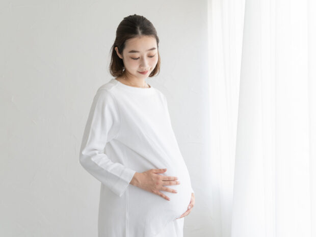 妊娠期別・歯科治療の安全性と最適なタイミング